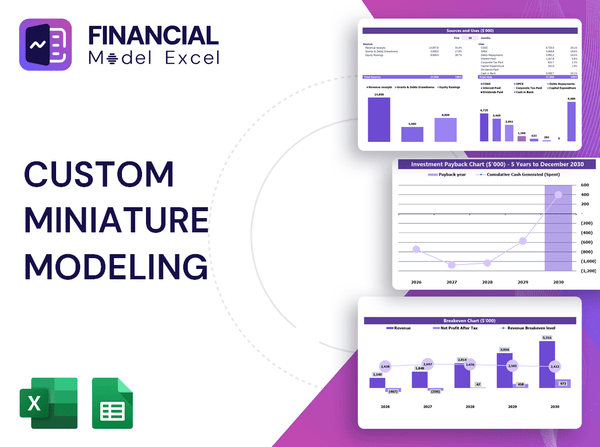 Custom Miniature Modeling Financial Model
