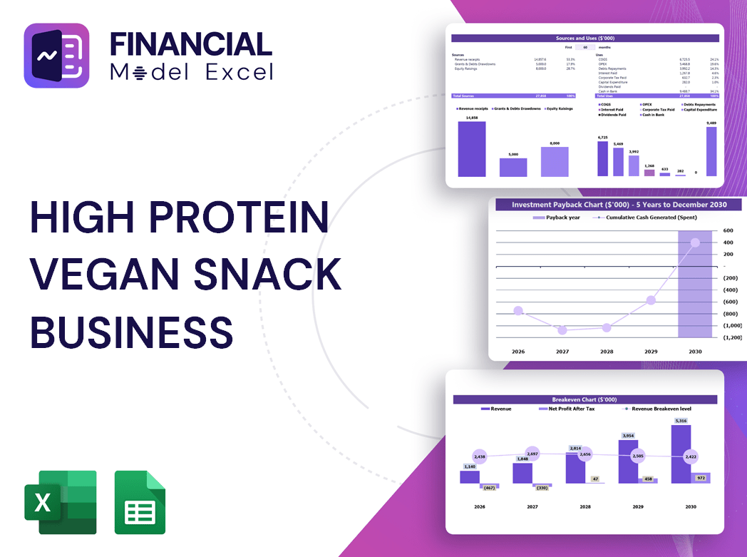 High Protein Vegan Snack Business Financial Model