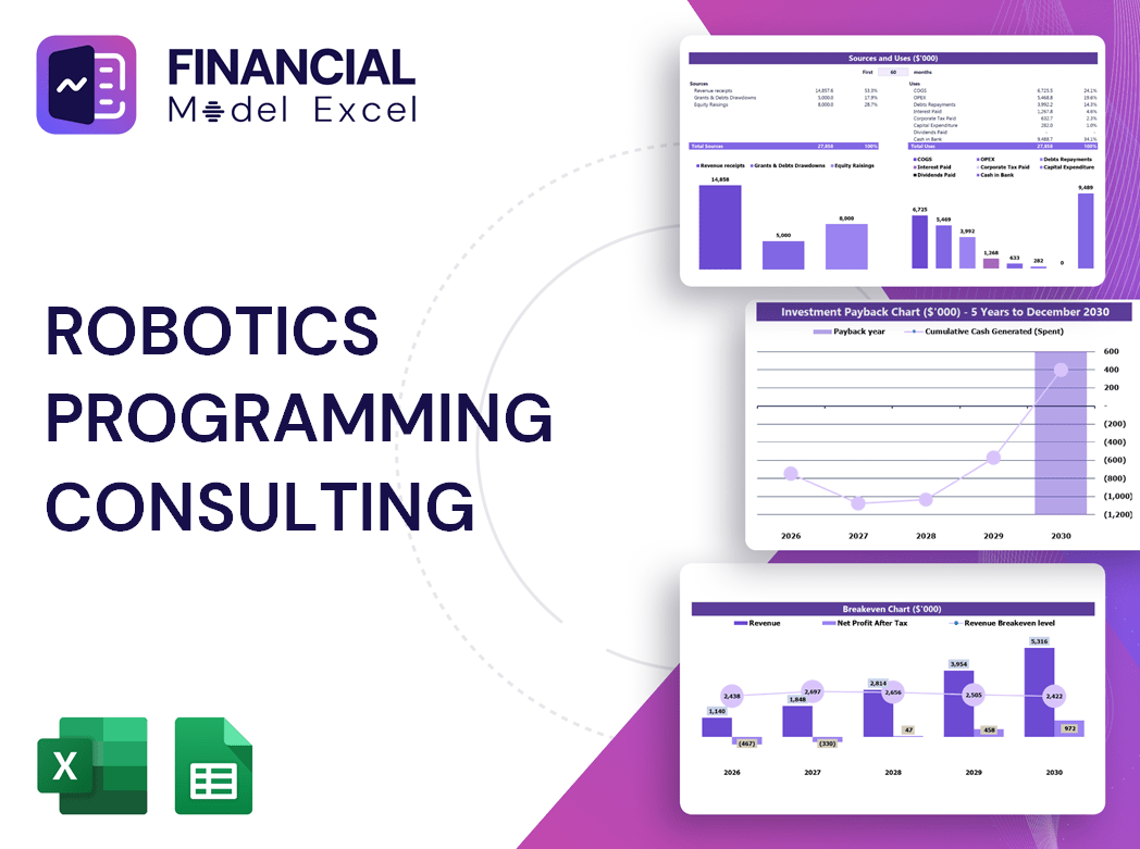 Robotics Programming Consulting Financial Model