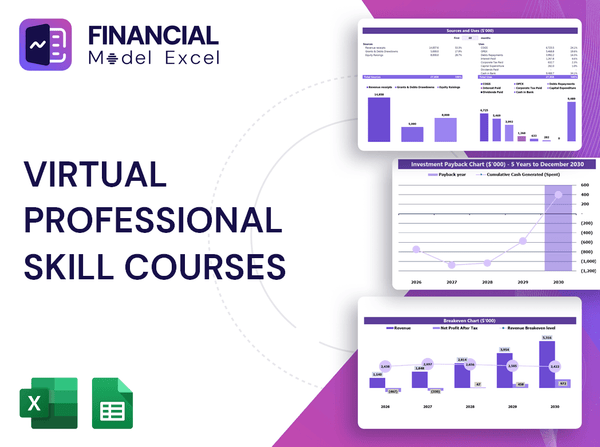 Virtual Professional Skill Courses Financial Model