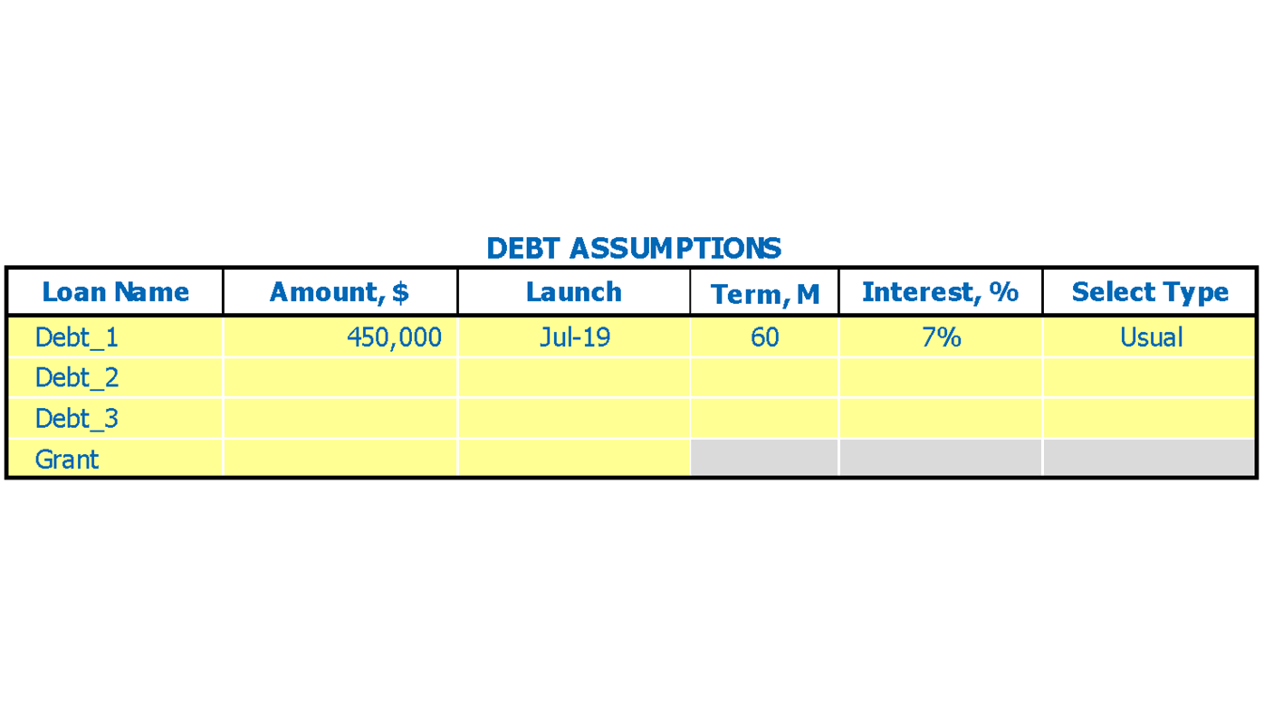 Food & Drink Marketplace Financial Projection Excel Template Debts Inputs