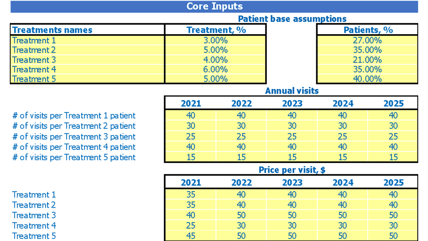 Medical Practice Business Plan Excel Template Dashboard Core Inputs