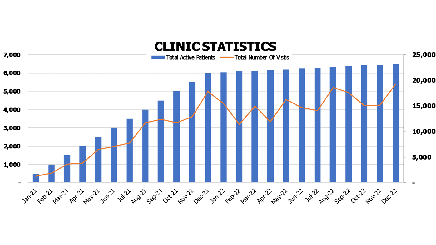 Birth Center Financial Model Excel Template Operational Charts Clinic Statistics Active Patients And Visits
