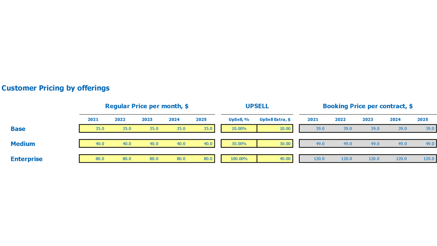 Saas Actuals Opt In Business Plan Excel Template Customer Offering Pricing And Upsell Inputs