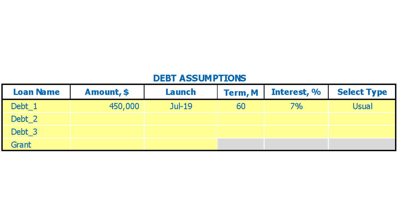 Accessories Boutique Financial Plan Excel Template Debts Inputs