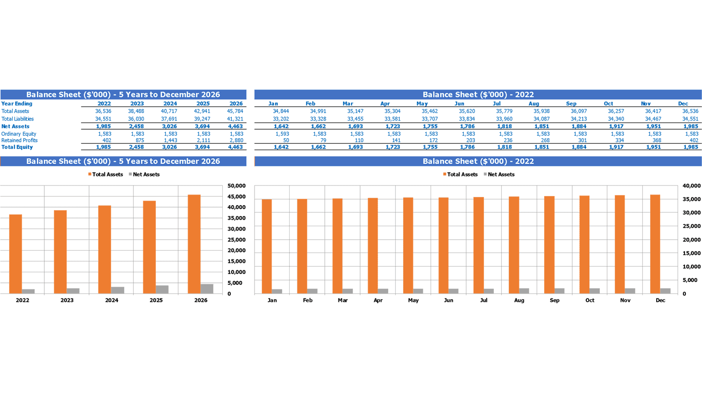 Co Operative Bank Financial Model Excel Template Summary Balance Sheet